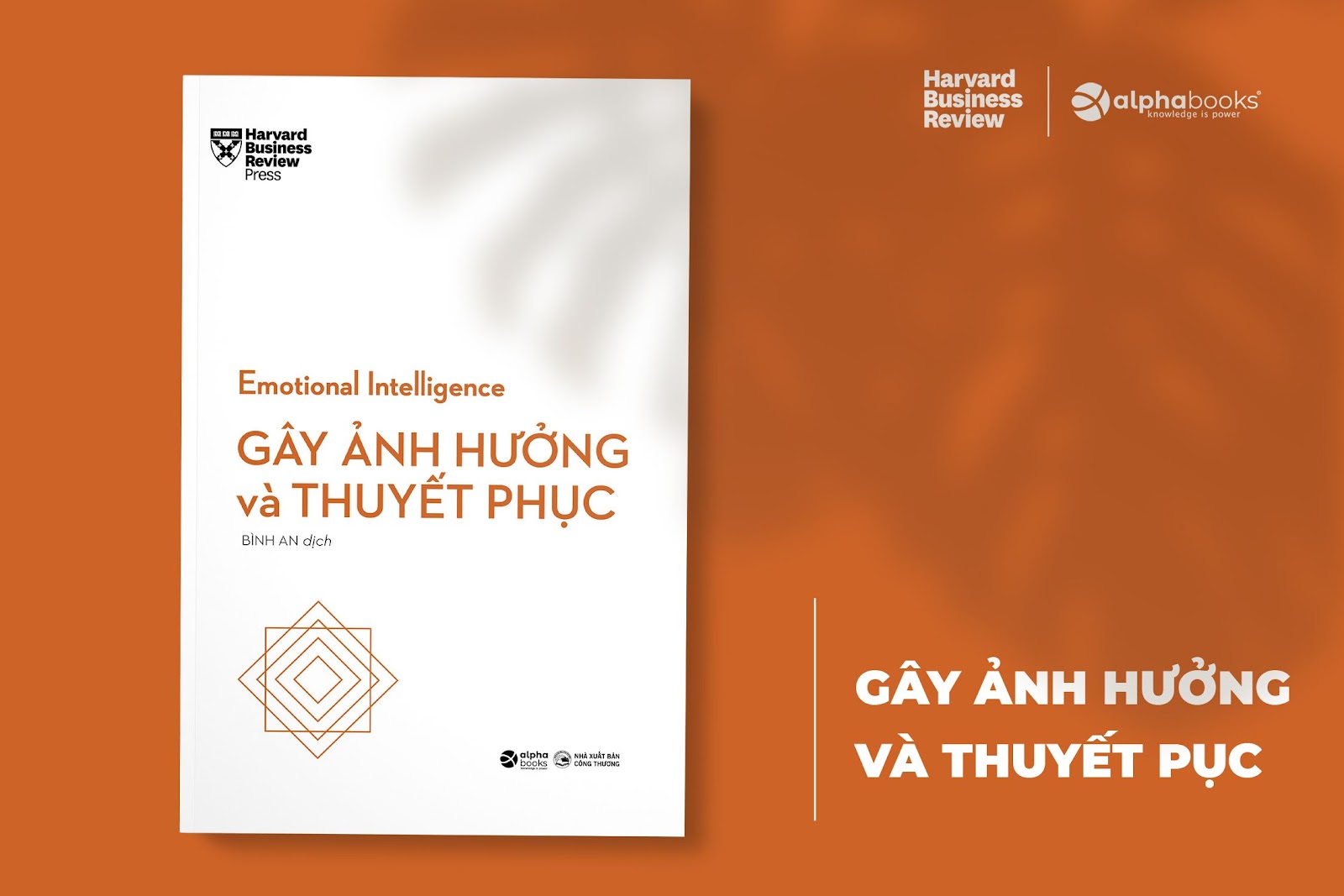 Hiểu biết sâu về trí tuệ xúc cảm